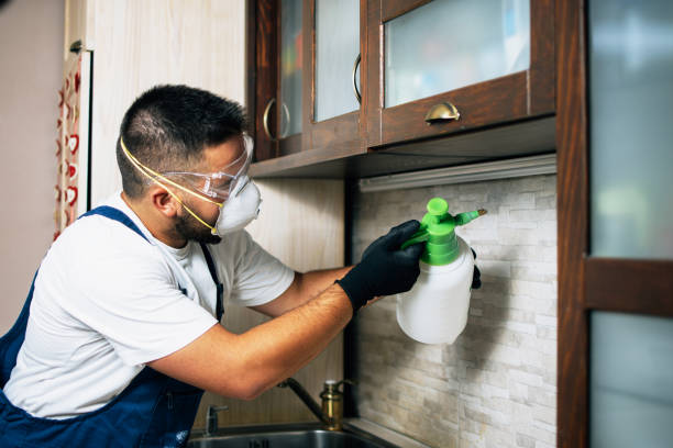 Best Best Pest Control Companies  in Pioche, NV