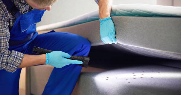 Professional Pest Control in Pioche, NV