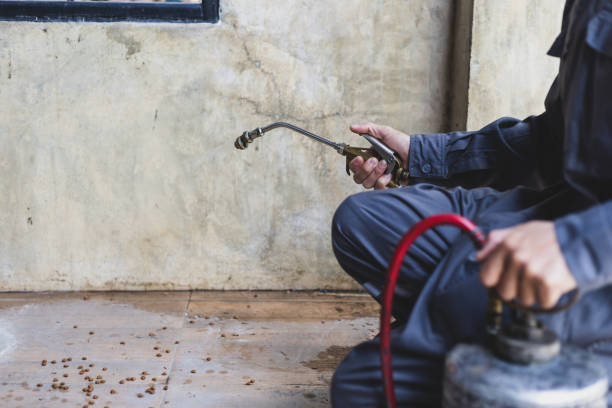 Best Residential Pest Control  in Pioche, NV
